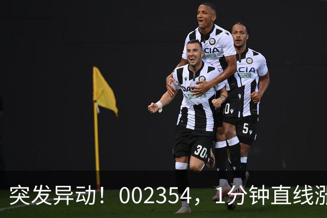 突发异动！002354，1分钟直线涨停！封单超200万手！
